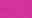 Fuchsia Fuchsia