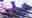 Purple Multi Purple Multi