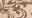 Taupe Lace Taupe Lace
